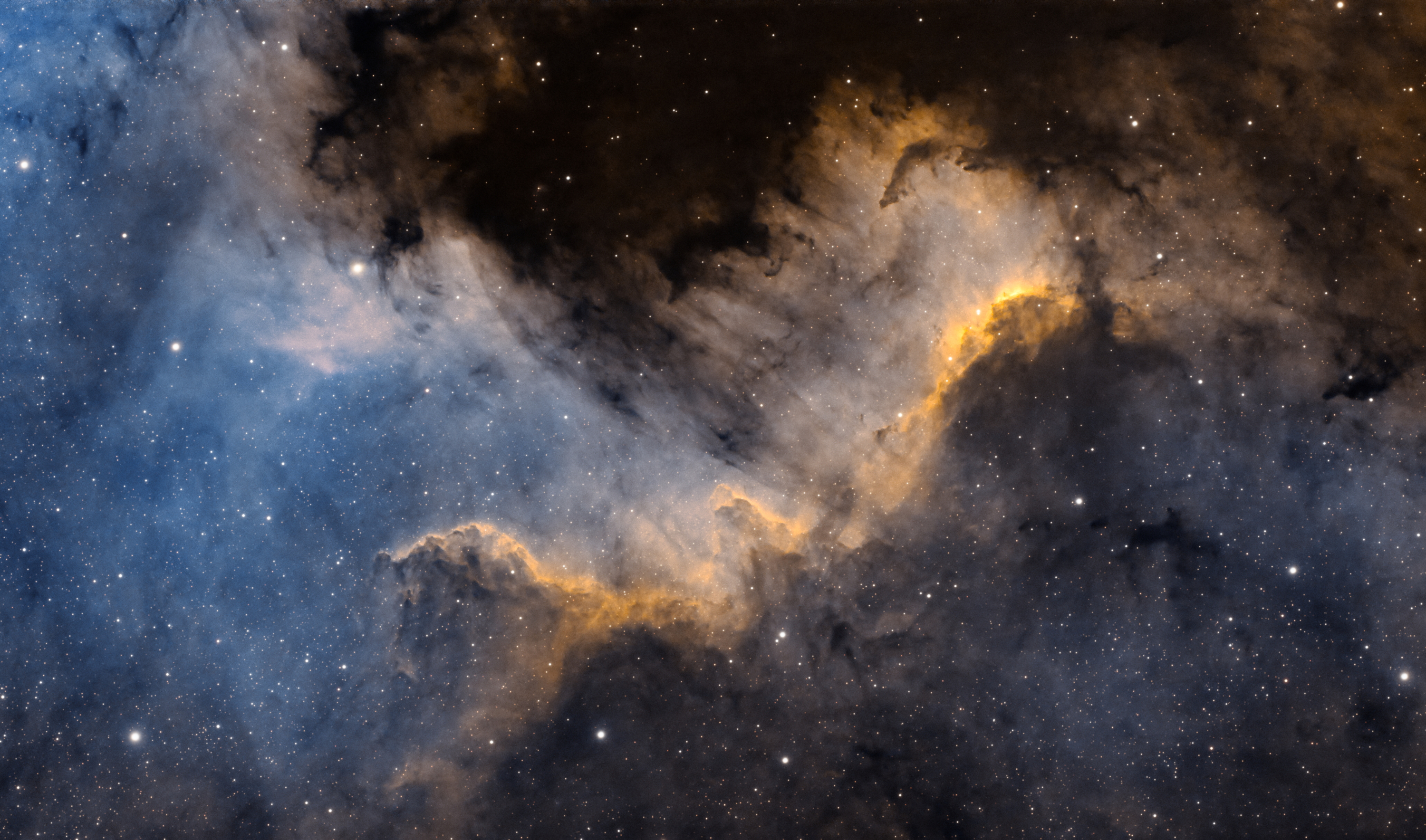 NGC 7000: Cygnus Wall Close-up