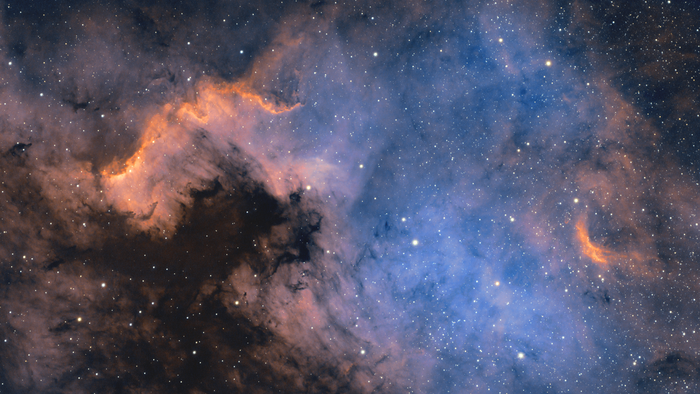 NGC 7000: The Cygnus Wall