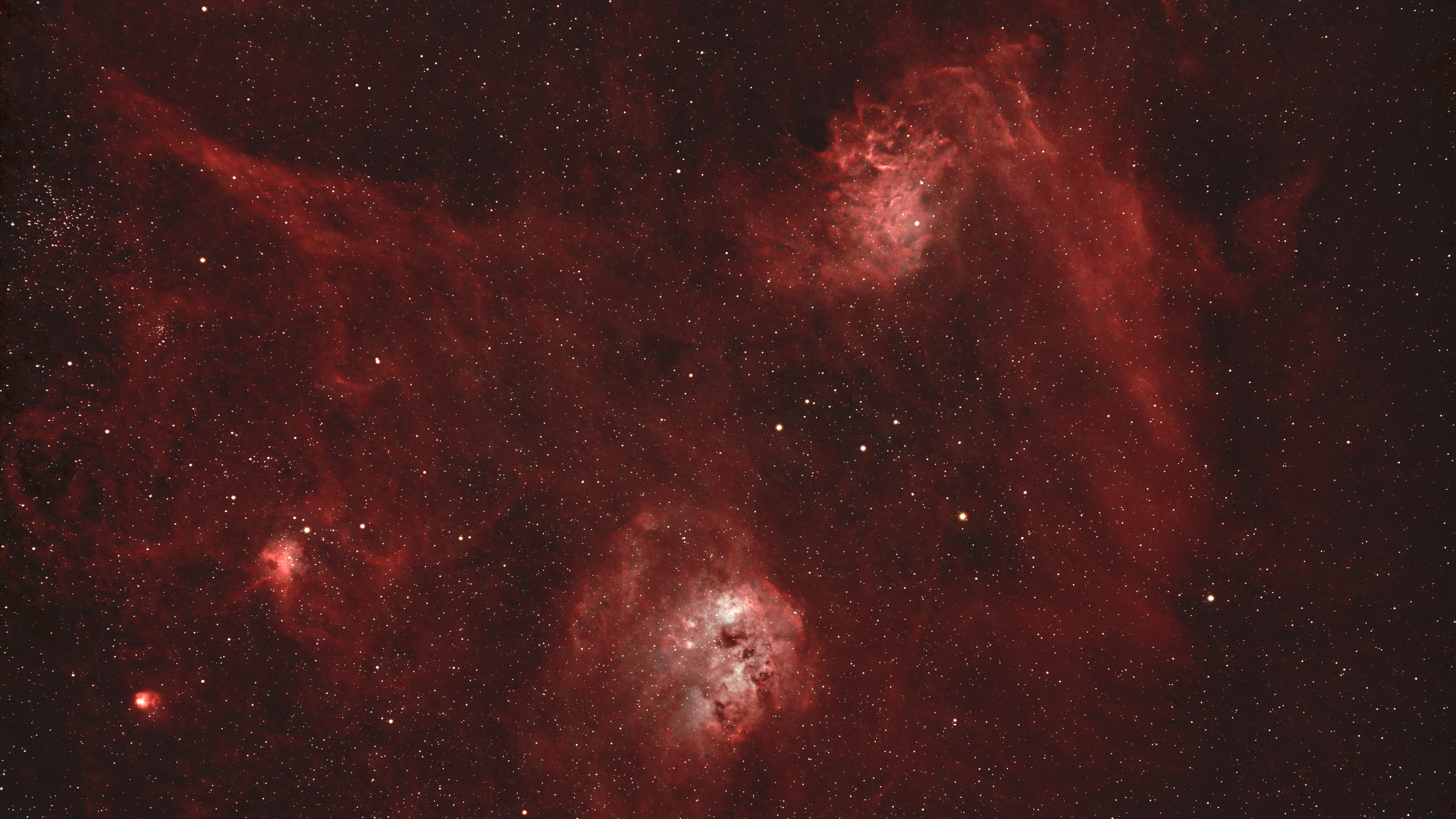 Flaming Star and Tadpoles ultrawide