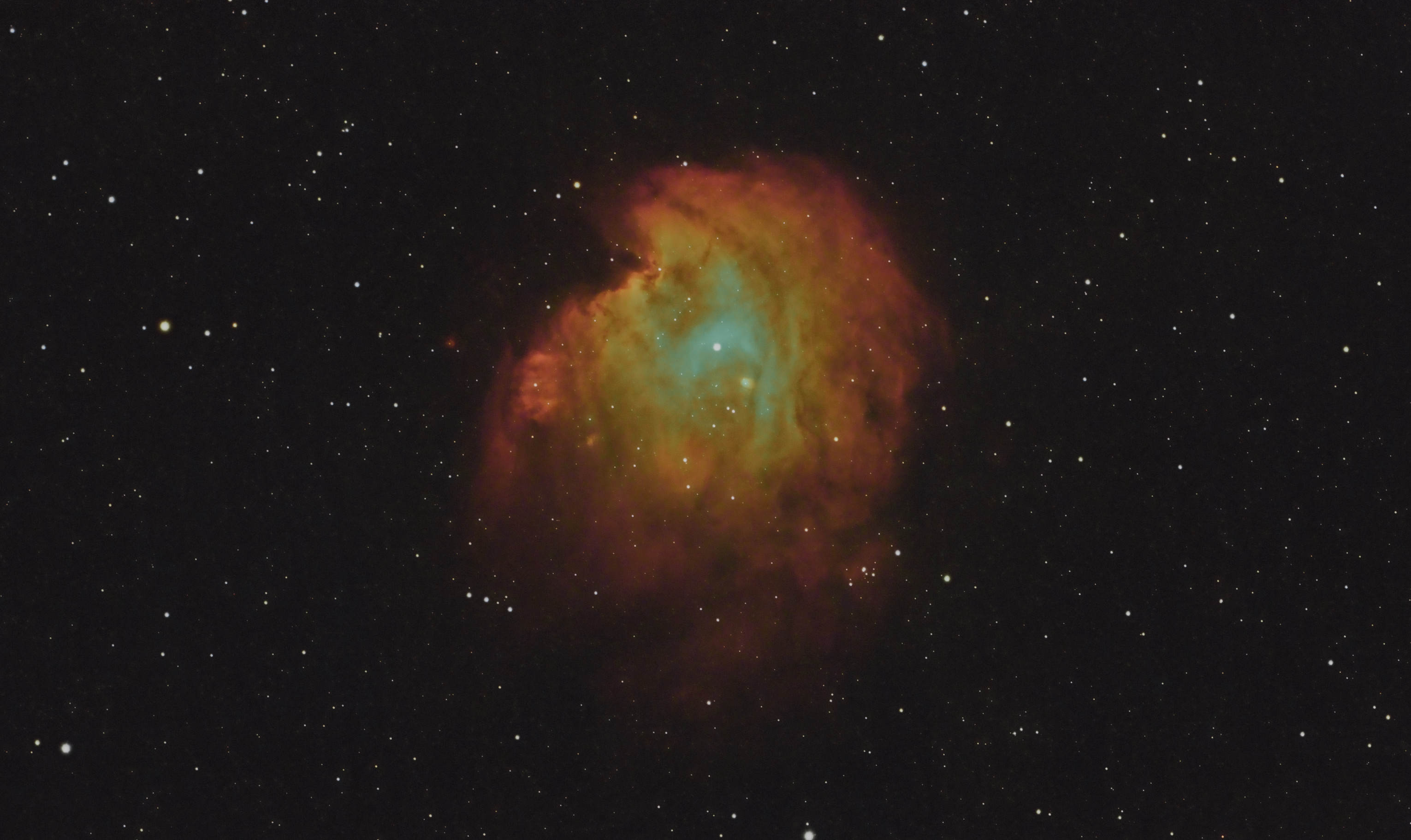 Monkey Head Nebula