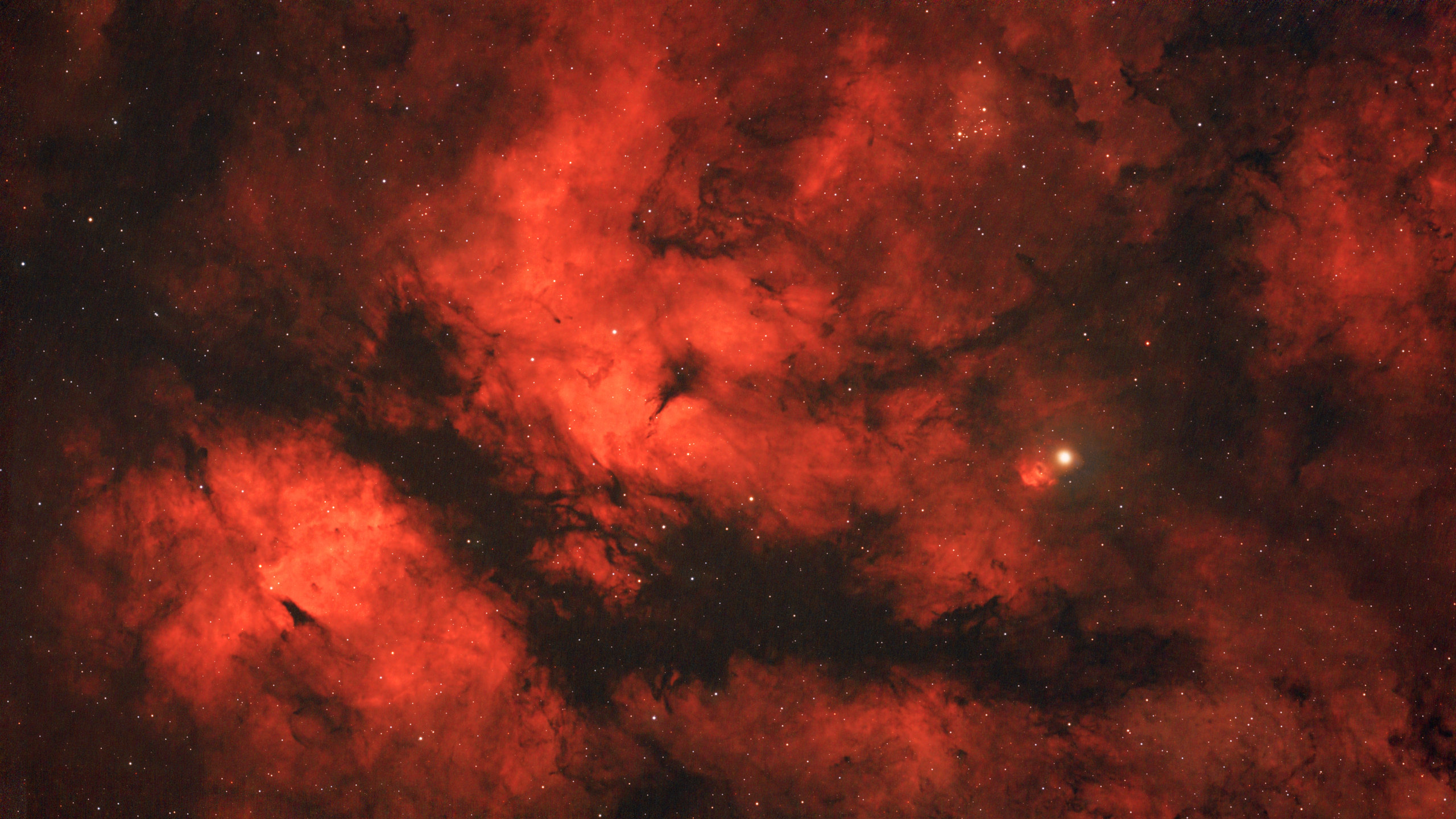 IC 1318: The Sadr Region in H-alpha