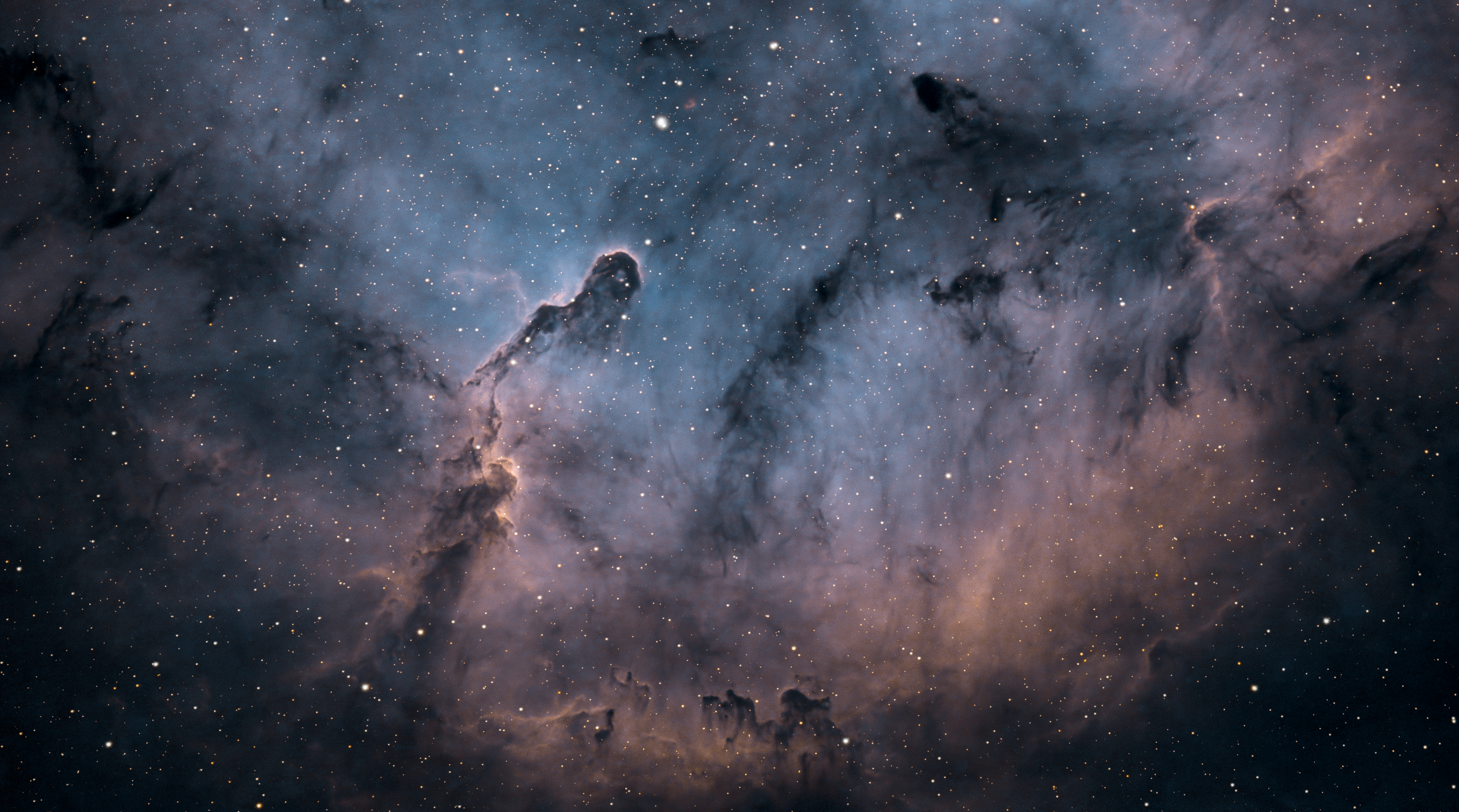 IC 1396A: The Elephant's Trunk Nebula